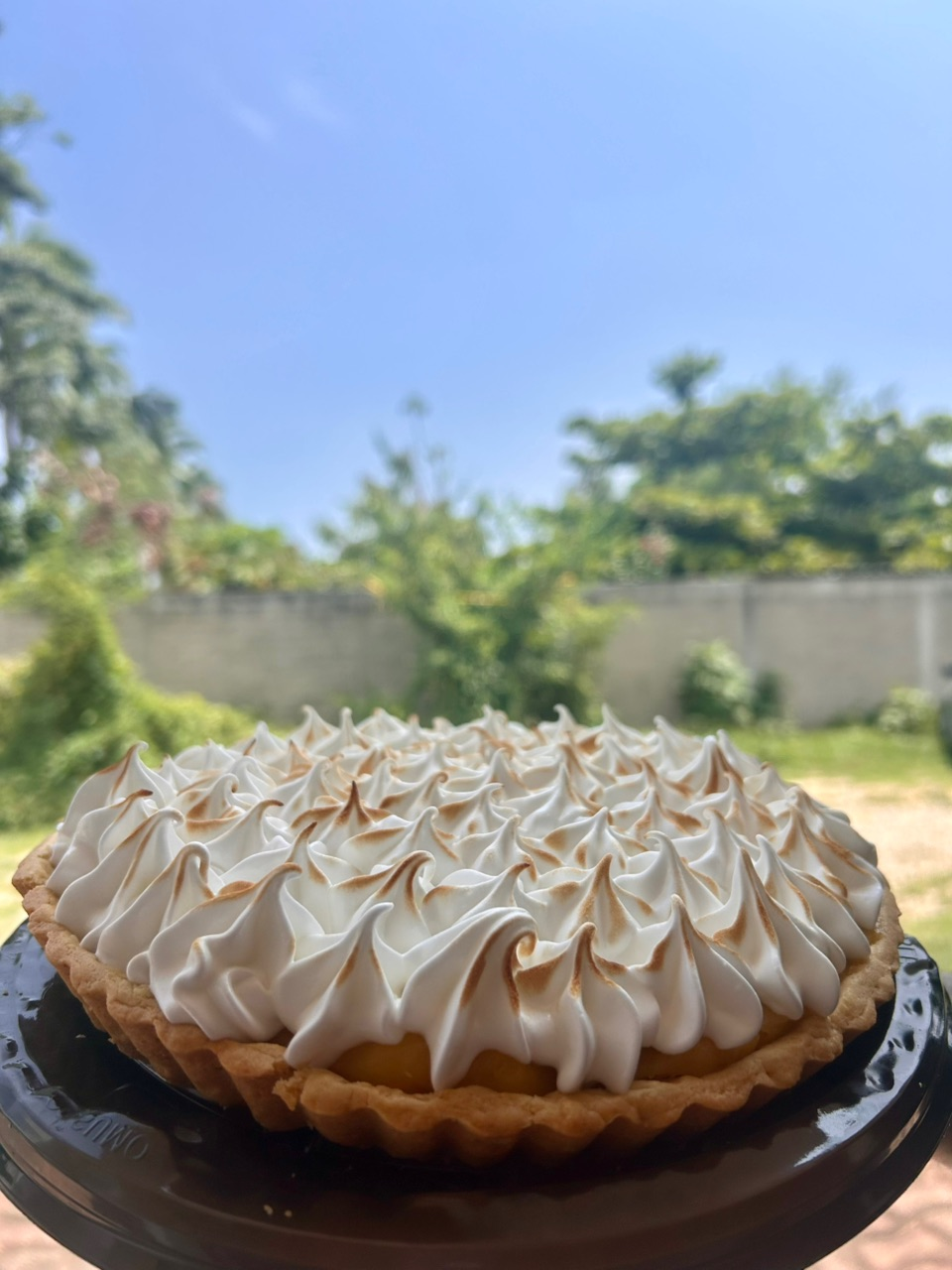 Lemon Pie
